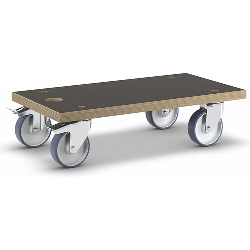 Wagner Transportna plošča MM 1341, DxŠ 575 x 300 mm, nosilnost 500 kg Cene