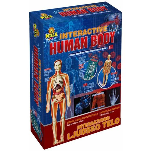 INTERAKTIVNO LJUDSKO TELO MILLA TOYS Slike