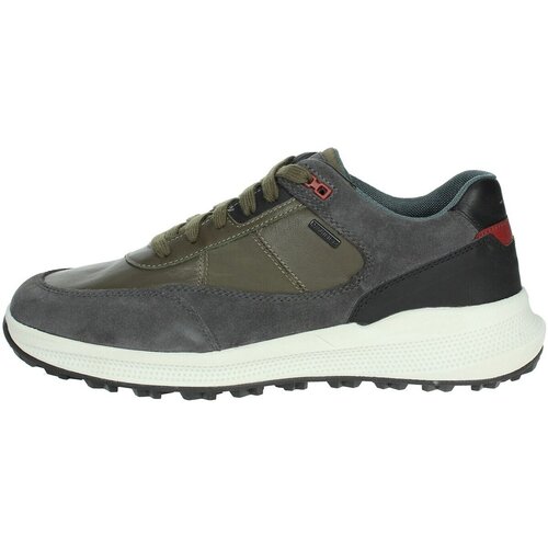Geox U36E0A 02285 Zelena Cijene