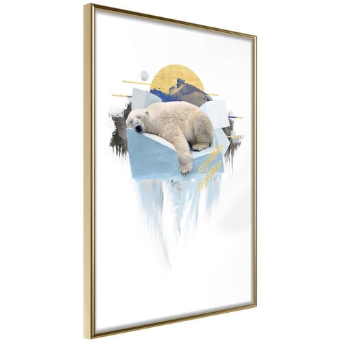  Poster - King of the Arctic 40x60 Slike
