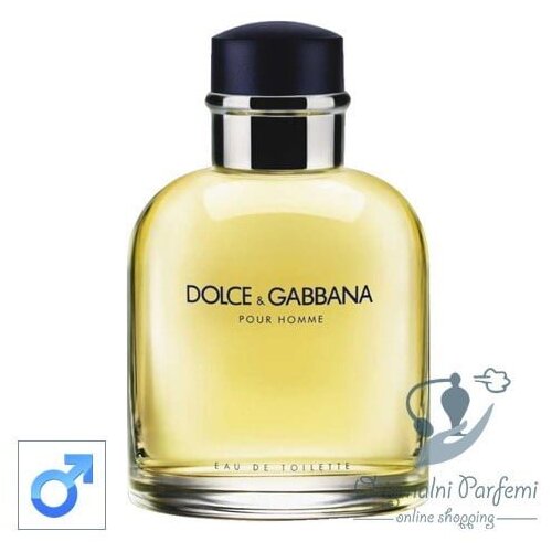 Dolce & Gabbana muška toaletna voda Pour Homme 125ml Cene