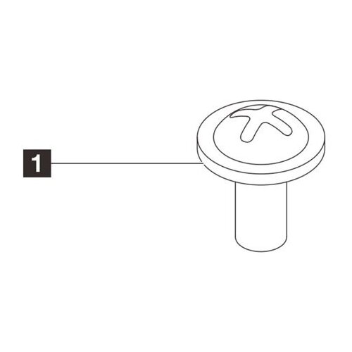Lenovo SRV DOD LN ST45 V3 M.2 Screw Kit Cene