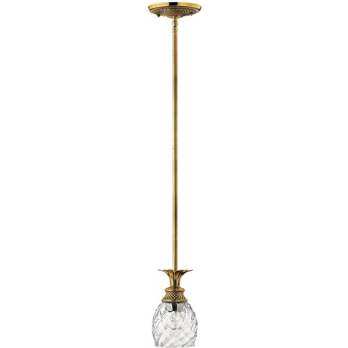 Elstead Lighting Plantation Hinkley 1 viseča svetilka iz polirane medenine, (22097784) Cene