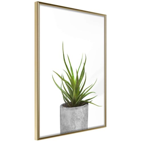  Poster - Piece of Nature I 40x60 Cene