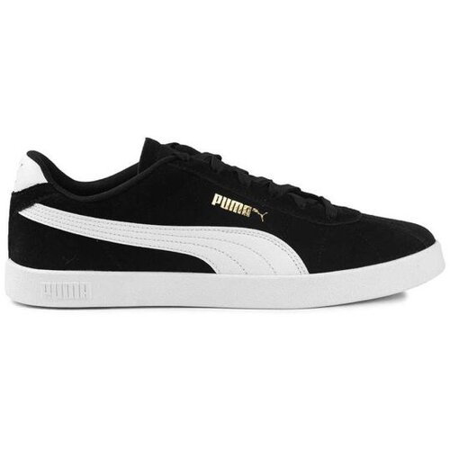 Puma muške patike club ii 397444-01 Cene
