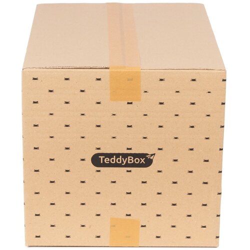 Compactor set od 2 bež kutije za pohranu Teddy, 42 x 30 cm Cijene