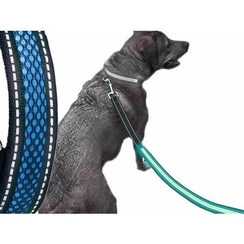  Modri pasji povodec 120cm Slike