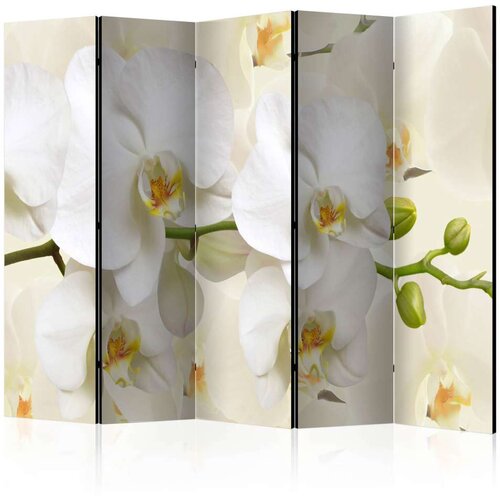  Paravan u 5 dijelova - Orchid Branch II [Room Dividers] 225x172 Slike