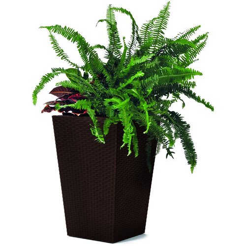 Keter Siv vrtni cvetlični lonec Kind, vi&amp;scaron;ina 44 cm Slike