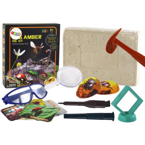  Archaeological Excavation Set Insects in Amber Cene