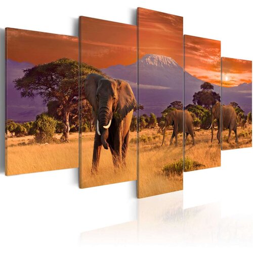 Slika - Africa: Elephants 200x100 Cijene