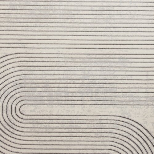 Think Rugs Svetlo siva/kremno bela preproga 80x150 cm Apollo &amp;ndash; Slike