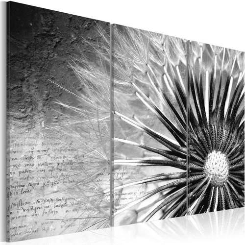  Slika - dandelion (black and white) 120x80