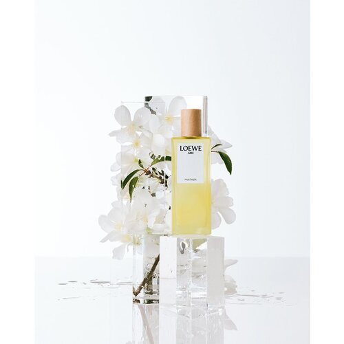 Loewe Aire Fantas&amp;iacute;a toaletna voda za žene 100 ml Slike