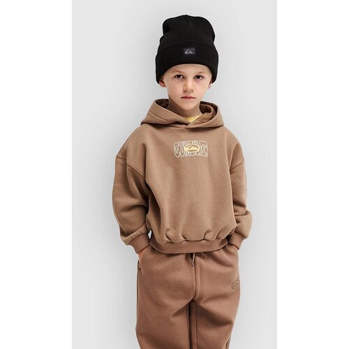 Quiksilver Tricks Boys Kids Hoodie pine bark Slike