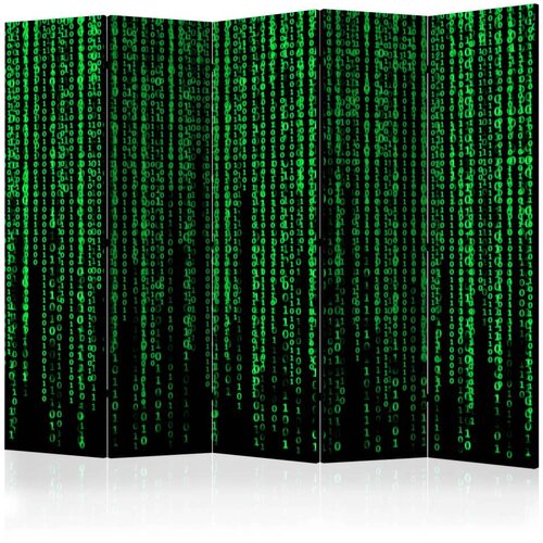  Paravan u 5 dijelova - Digital Rain II [Room Dividers] 225x172 Slike