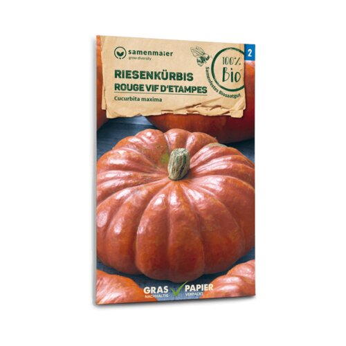 Samen Maier Ekolo&amp;scaron;ka buča velikanka &amp;quot;Rouge vif d&amp;#039;Etampes (Roter Zentner)&amp;quot; Slike