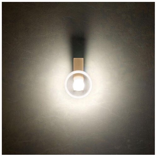  Redo 01-3239 - LED zidna lampa SINCLAIR LED/6,5W/230V CRI 93 IP21 zlatna Cene