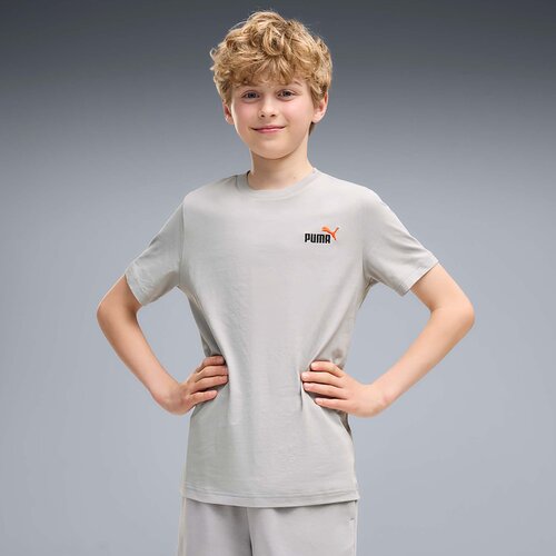 Puma Majice &amp;amp; Polo majice Ess 2 Color Small No. 1 Logo Tee B Siva Slike