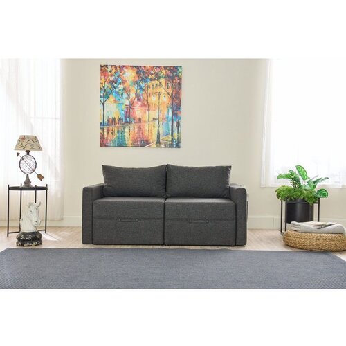 Atelier Del Sofa saros - Anthracite Anthracite 2-Seat Sofa-Bed Slike