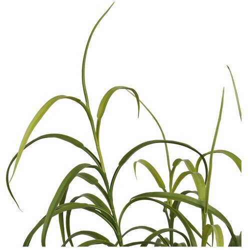 House Nordic Umetna rastlina (vi&amp;scaron;ina 89 cm) Grass &amp;ndash; Slike
