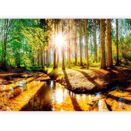 Artgeist FOTOTAPETA Cene