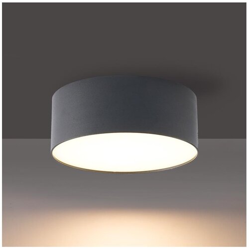  Brilagi - LED plafonsko svetlo za kupatilo FORIS LED/14W/230V prečnik 12 cm antracit IP44 Cene