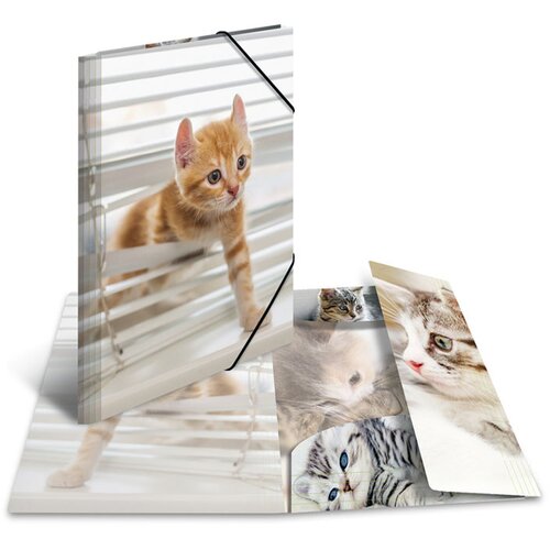 Herma Mapa z elastiko A3 PP, Glossy Mucki Slike
