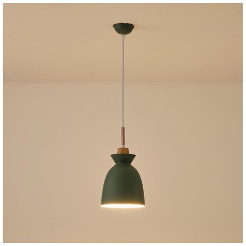 Luster na sajli SIMPLO 1xE27/15W/230V, zelena, prečnik 19,5 cm Cene