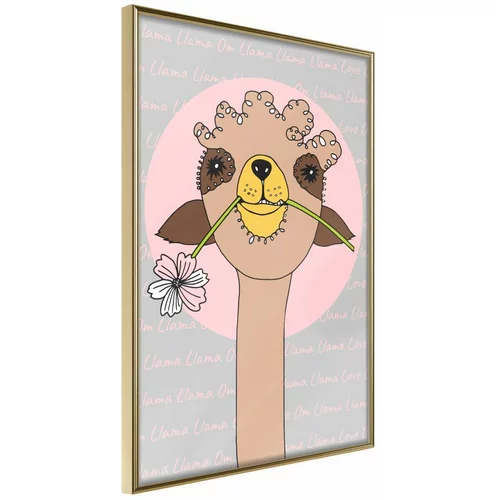  Poster - Cute Llama 40x60