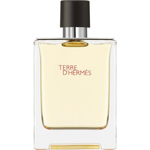 Hermes Hermès Terre D'Hermès Eau De Toilette 100 ml (man) Cene