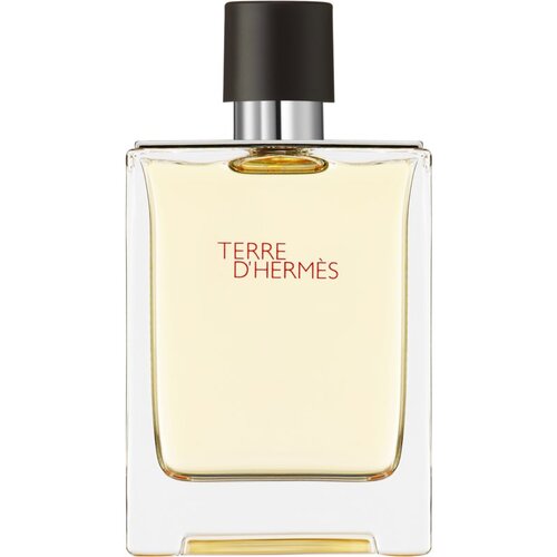 Hermes Toaletna voda za muškarce Terre D' 100ml Cene