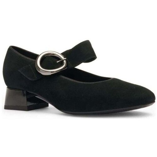 Ara Balerinke - Črna Slike