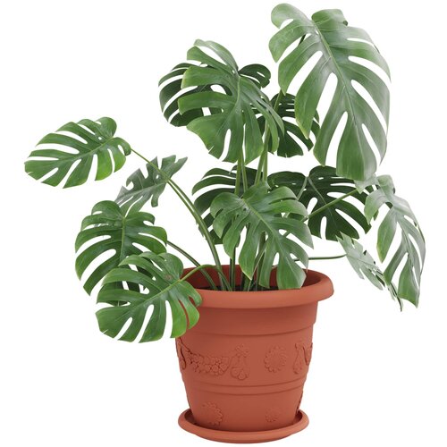  Saksije za biljke 6 pcs Crvena cigla &amp;Oslash; 26 x 21.5 cm Plastika Slike