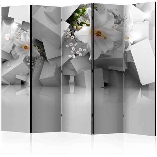  Paravan u 5 dijelova - Lost in Chaos II [Room Dividers] 225x172 Slike
