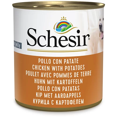 Schesir Varčno pakiranje Nassfutter 12 x 285 g - Piščanec s krompirjem