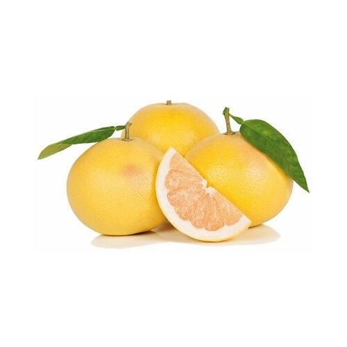 Nepoznato Grejp žuti 1kg Cene
