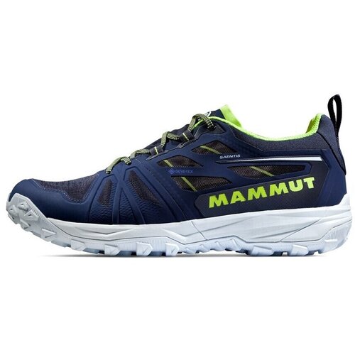Mammut Pohodništvo Saentis Low Gtx Cene
