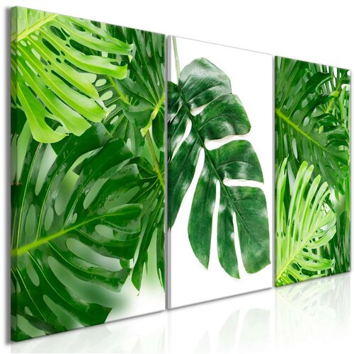  Slika - Palm Leaves (3 Parts) 120x60 Slike