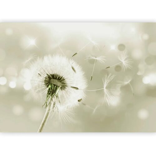  Foto tapeta - Pilgrimage of Wind 250x175 Slike