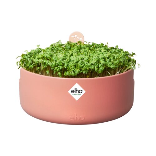 ELHO Lonec za gojenje Microgreens &amp;quot;magic microgreens&amp;quot; - Toffee terra Slike