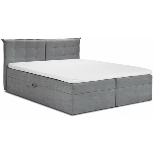 Mazzini Beds sivi bračni krevet Mazzini Kreveti Echaveria, 160 x 200 cm