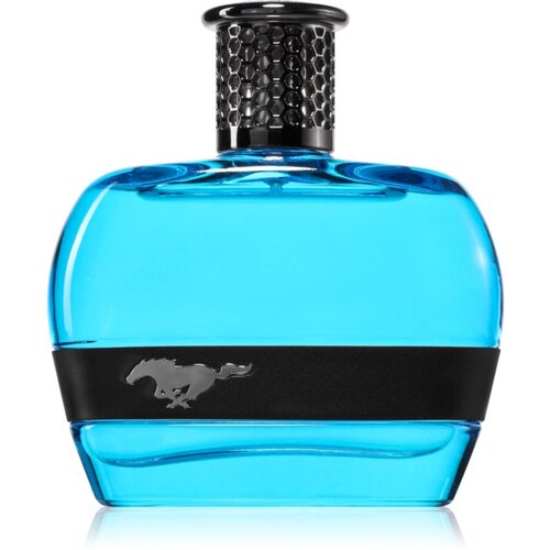 Ford Mustang Mustang Blue 100 ml toaletna voda za mo&scaron;ke Cene