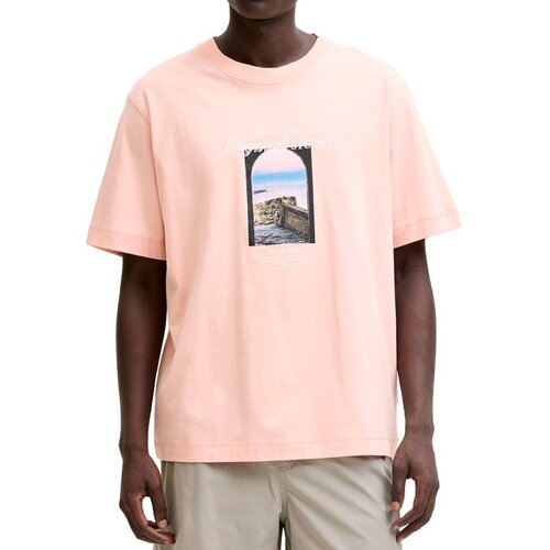 Jack & Jones Mu&scaron;ka majica Jornorrebro Photo Tee Ss Crew Neck Ln, Roze Cene
