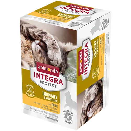 Animonda Integra Protect Adult Urinary oksalatni kamni pladnji 6 x 100 g - Z govedino