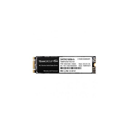 Team Group trdi disk 1TB SSD MS30 M.2 2280 SATA3 Slike