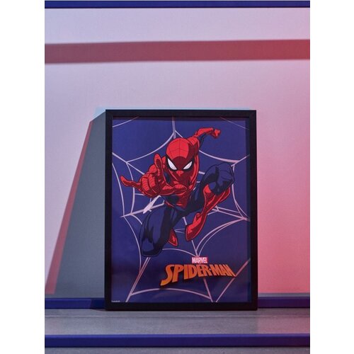 Sinsay Okvir s grafikom Spider-Man Cijene