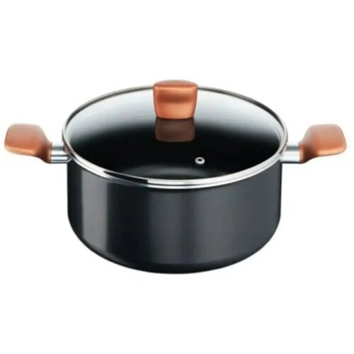 Tefal lonac express sa poklopcem 24 cm - B2554602 Cene