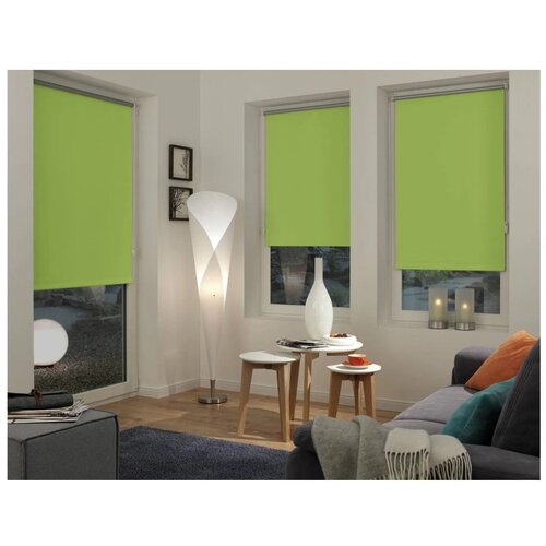 Gardinia Svijetlo zelene rolete 97x150 cm Mini Termo &amp;ndash; Slike