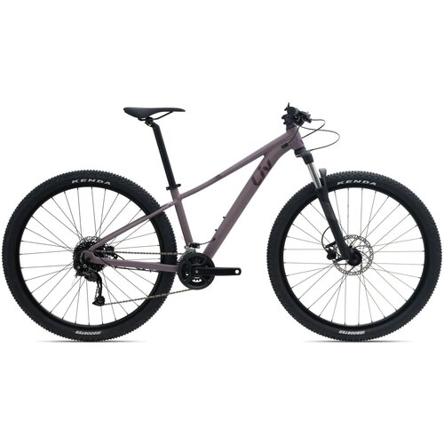  Bicikl LIV Tempt 29 3-GE Purple Ash - L Cene